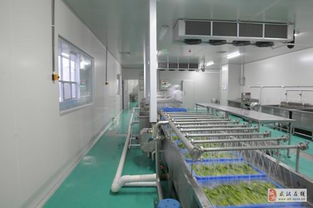 武漢東西湖區(qū)源香食品產(chǎn)業(yè)園配套廠房及廈門腳手架出租優(yōu)惠信息